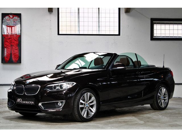 BMW 2 Serie Cabrio 220i Centennial High Executive