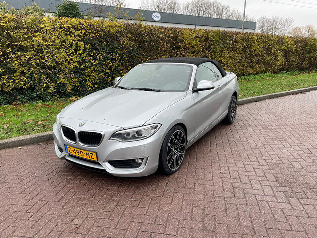 BMW 2 Serie Cabrio 220i