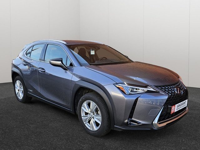 Lexus UX 250h Business Line Carplay Camera Navigatie Alcantara