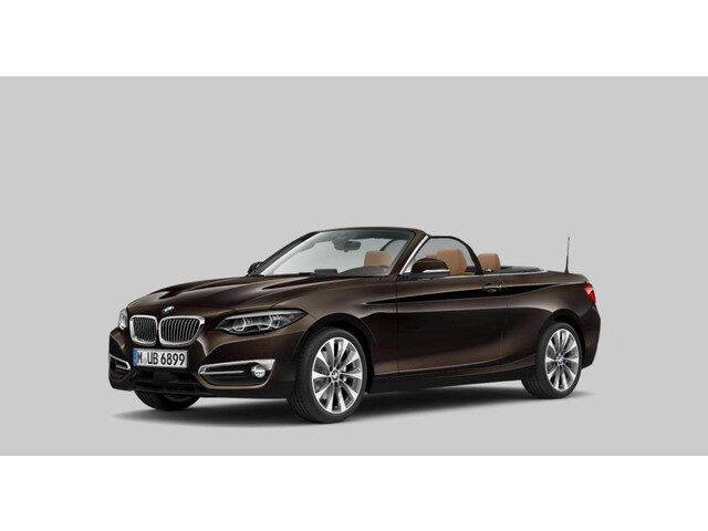 BMW 2 Serie Cabrio 220i High Executive