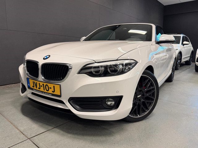 BMW 2 Serie Cabrio 218i Executive AUTOMAAT/CRUISE/PDC/ECC/LED/STOELVERW/CAMERA///