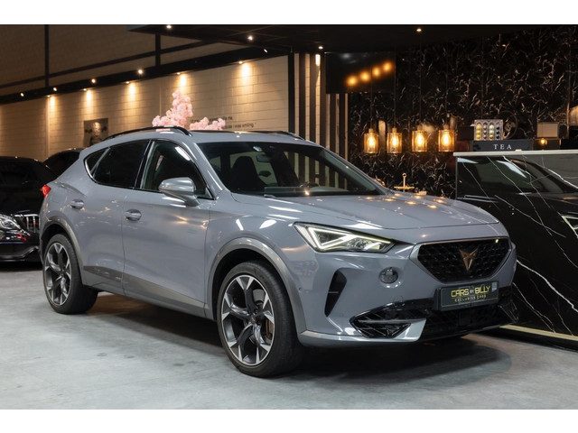 Cupra Formentor 2.0 TSI 4DRIVE|PANO|LEDER|CLIMATE|NAVI