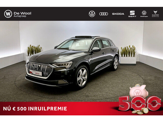 Audi e-tron 50 quattro Launch edition plus, Panoramadak