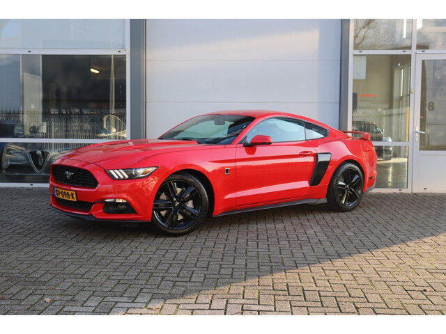Ford Mustang FASTBACK 2.3 ECOBOOST/370PK/ROUSH UITL/6BAK/19