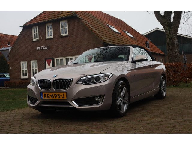 BMW 2 Serie Cabrio 220d High Executive Aut. | Orig. NL | Full Led | Sportstoelen | Moonlight Silver