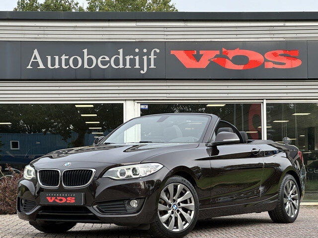 BMW 2 Serie Cabrio 220i